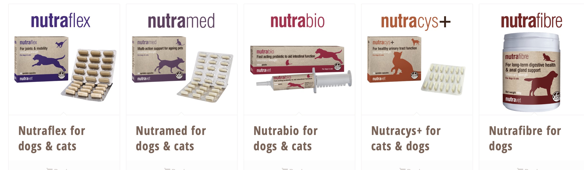 Herbal and Homeopathic Vet in North Wales & NW England